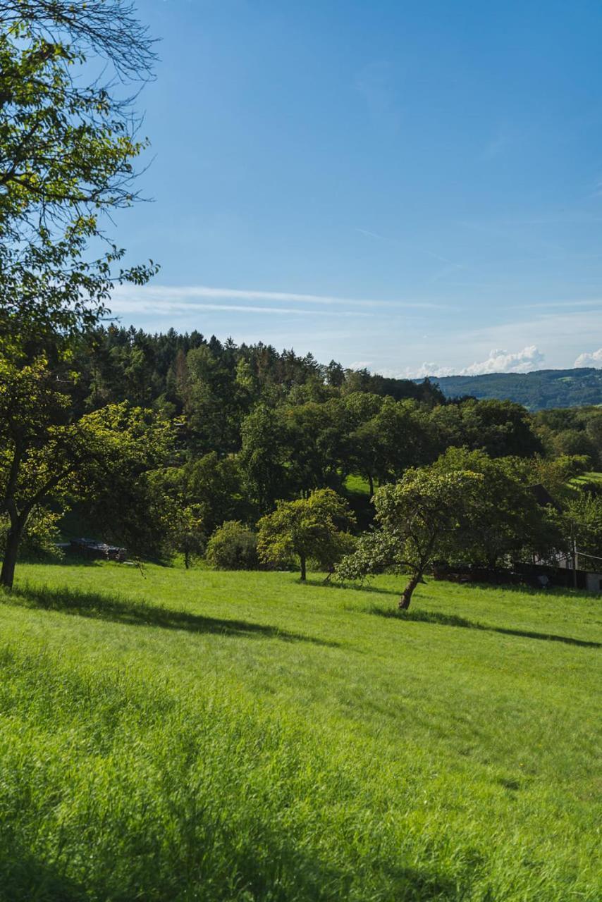 Apartamento Gruenewaldhof In Rimbach Im Odenwald Exterior foto