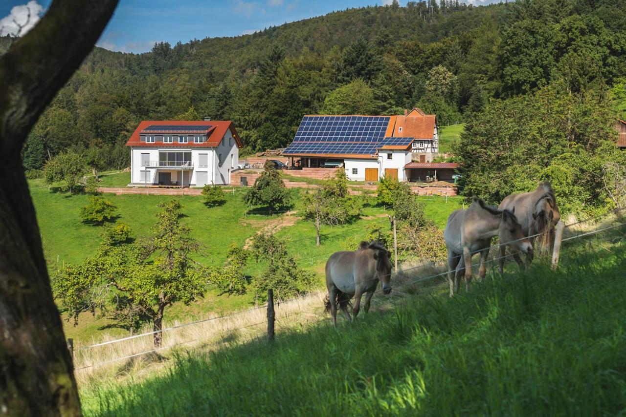 Apartamento Gruenewaldhof In Rimbach Im Odenwald Exterior foto
