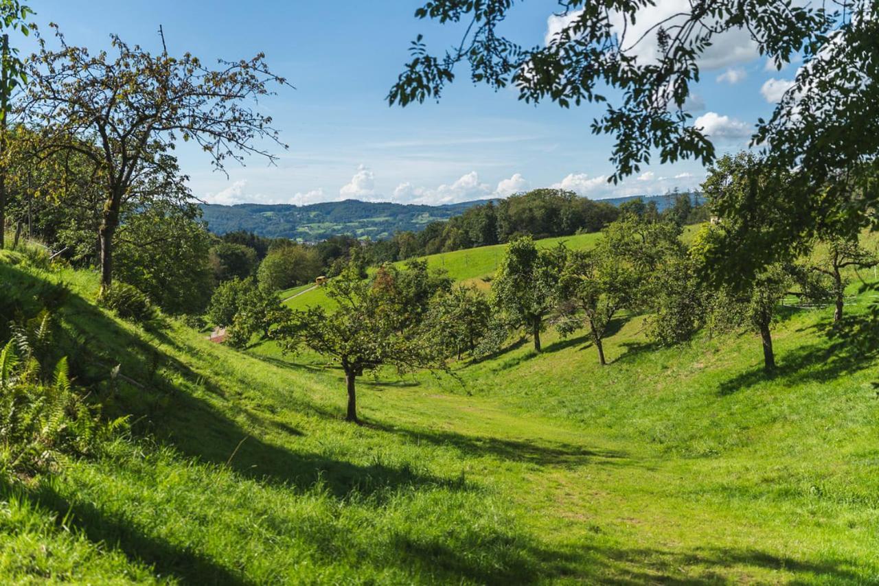 Apartamento Gruenewaldhof In Rimbach Im Odenwald Exterior foto